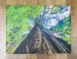 STANDING TALL - PRINT ON CANVAS